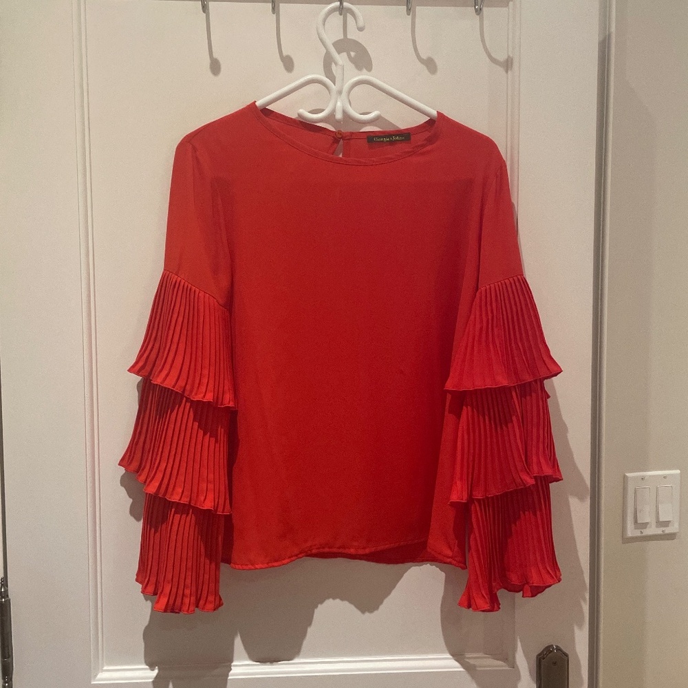 Georgia & Johns top with pleated ruffled sleeves🏯